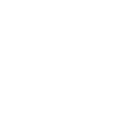 D’Leon Construction